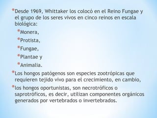 *Desde 1969, Whittaker los colocó en el Reino Fungae y
el grupo de los seres vivos en cinco reinos en escala
biológica:
*Monera,
*Protista,
*Fungae,
*Plantae y
*Animalia.
*Los hongos patógenos son especies zootrópicas que
requieren tejido vivo para el crecimiento, en cambio,
*los hongos oportunistas, son necrotróficos o
saprotróficos, es decir, utilizan componentes orgánicos
generados por vertebrados o invertebrados.
 