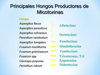 Principales Hongos Productores dePrincipales Hongos Productores de
MicotoxinasMicotoxinas
HongosHongos
Aspergillus flavusAspergillus flavus
Aspergillus parasiticusAspergillus parasiticus
Aspergillus ochraceusAspergillus ochraceus
PenicilliumPenicillium veridicatumveridicatum
Aspergillus fumigatusAspergillus fumigatus
FusariumFusarium moniliformemoniliforme
Fusarium graminearumFusarium graminearum
Fusarium spp.Fusarium spp.
Claviceps purpureaClaviceps purpurea
Penicillium rubrumPenicillium rubrum
AflatoxinasAflatoxinas
OcratoxinasOcratoxinas
FumitoxinasFumitoxinas
MoniloforminaMoniloformina
VomitoxinacVomitoxinac
Tricotecenos, T-2Tricotecenos, T-2
ErgotaminaErgotamina
RubratoxinaRubratoxina
 