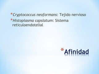 *Cryptococcus neoformans: Tejido nervioso
*Histoplasma capslatum: Sistema
reticuloendotelial
 