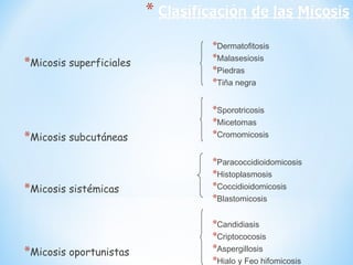 *Micosis superficiales
*Micosis subcutáneas
*Micosis sistémicas
*Micosis oportunistas
*Dermatofitosis
*Malasesiosis
*Piedras
*Tiña negra
*Sporotricosis
*Micetomas
*Cromomicosis
*Paracoccidioidomicosis
*Histoplasmosis
*Coccidioidomicosis
*Blastomicosis
*Candidiasis
*Criptococosis
*Aspergillosis
*Hialo y Feo hifomicosis
 