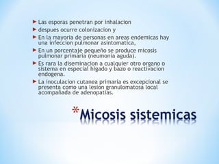  Las esporas penetran por inhalacion
 despues ocurre colonizacion y
 En la mayoria de personas en areas endemicas hay
una infeccion pulmonar asintomatica,
 En un porcentaje pequeño se produce micosis
pulmonar primaria (neumonia aguda).
 Es rara la diseminacion a cualquier otro organo o
sistema en especial higado y bazo o reactivacion
endogena.
 La inoculacion cutanea primaria es excepcional se
presenta como una lesion granulomatosa local
acompañada de adenopatias.
 