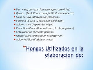 Pan, vino, cerveza (Saccharomyces cerevisiae)
Quesos (Penicillium roquefortii, P. camembertii)
Salsa de soya (Rhizopus oligosporum)
Fermeta la yuca (Geotrichum candidum)
Acido citrico (Aspergillus niger)
Penicilina (Penicillium notatum, P. chrysogenum)
Cefalosporina (Cepahlosporium)
Griseofulvina (Penicillium griseofulvum)
Acido fusidico (Fusidium, Mucor)
 