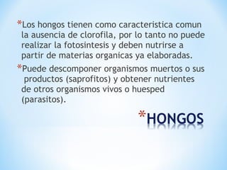 *Los hongos tienen como caracteristica comun
la ausencia de clorofila, por lo tanto no puede
realizar la fotosintesis y deben nutrirse a
partir de materias organicas ya elaboradas.
*Puede descomponer organismos muertos o sus
productos (saprofitos) y obtener nutrientes
de otros organismos vivos o huesped
(parasitos).
 