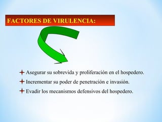 FACTORES DE VIRULENCIA:
Asegurar su sobrevida y proliferación en el hospedero.
Evadir los mecanismos defensivos del hospedero.
Incrementar su poder de penetración e invasión.
 