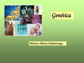 Genética
Mónica María Saldarriaga
 
