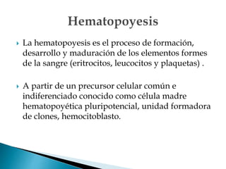  La hematopoyesis es el proceso de formación,
desarrollo y maduración de los elementos formes
de la sangre (eritrocitos, leucocitos y plaquetas) .
 A partir de un precursor celular común e
indiferenciado conocido como célula madre
hematopoyética pluripotencial, unidad formadora
de clones, hemocitoblasto.
 