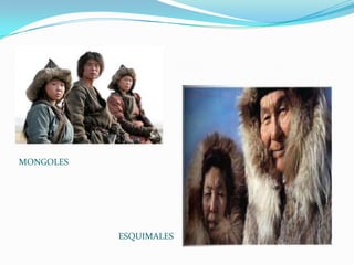 MONGOLES




           ESQUIMALES
 