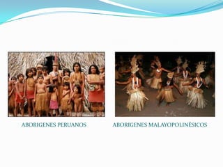 ABORIGENES PERUANOS   ABORIGENES MALAYOPOLINÉSICOS
 