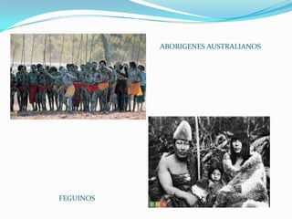 ABORIGENES AUSTRALIANOS




FEGUINOS
 