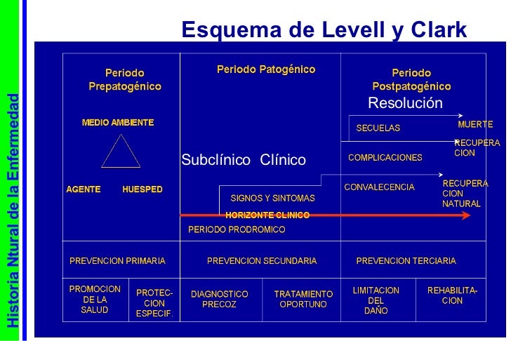 Clase 2 historia natural de la enfermedad