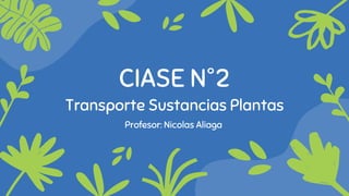 CIASE N°2
Transporte Sustancias Plantas
Profesor: Nicolas Aliaga
 