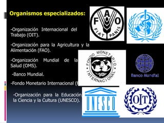 Organismos especializados:

-Organización Internacional del
Trabajo (OIT).

-Organización para la Agricultura y la
Alimentación (FAO).

-Organización   Mundial   de   la
Salud (OMS).
-Banco Mundial.
-Fondo Monetario Internacional (FMI).

 -Organización para la Educación,
 la Ciencia y la Cultura (UNESCO).
 