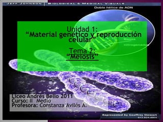 Unidad 1:“Material genético y reproducción celular” Tema 2: “Meiosis” Liceo Andrés Bello 2011 Curso: II° Medio Profesora: Constanza Avilés A. 