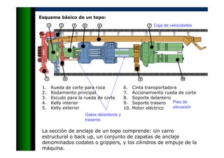Esquema básico de un topo:
1. Rueda de corte para roca
2. Rodamiento principal
3. Escudo para la rueda de corte
4. Kelly interior
5. Kelly exterior
6. Cinta transportadora
7. Accionamiento rueda de corte
8. Soporte delantero
9. Soporte trasero
10. Motor eléctrico
Gatos delanteros y
traseros
Caja de velocidades
Pies de
elevación
La sección de anclaje de un topo comprende: Un carro
estructural o back up, un conjunto de zapatas de anclaje
denominados codales o grippers, y los cilindros de empuje de la
máquina.
 