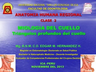 UNIVERSIDAD NACIONAL “SAN LUIS GONZAGA” DE ICA
FACULTAD DE ODONTOLOGIA

ANATOMIA HUMANA REGIONAL
CLASE 2

MIOLOGIA DEL CUELLO

Triángulos profundos del cuello
Mg. B.N.M. C.D. EDGAR M. HERNANDEZ H.
Magíster en Estomatología- Doctorado en Salud Publica
Bachelor in Naturophatic Medicine – Docente Investigador
Evaluador de Competencias Profesionales del Cirujano Dentista

ICA -PERU
NOVIEMBRE DEL 2013

 