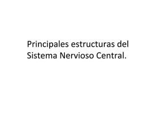Principales estructuras del
Sistema Nervioso Central.
 