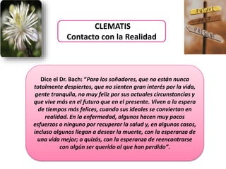 CLEMATIS
Contacto con la Realidad
Dice el Dr. Bach: “Para los soñadores, que no están nunca
totalmente despiertos, que no sienten gran interés por la vida,
gente tranquila, no muy feliz por sus actuales circunstancias y
que vive más en el futuro que en el presente. Viven a la espera
de tiempos más felices, cuando sus ideales se conviertan en
realidad. En la enfermedad, algunos hacen muy pocos
esfuerzos o ninguno por recuperar la salud y, en algunos casos,
incluso algunos llegan a desear la muerte, con la esperanza de
una vida mejor; o quizás, con la esperanza de reencontrarse
con algún ser querido al que han perdido”.
 