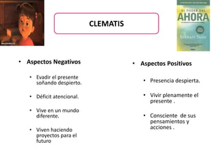 • Aspectos Negativos
• Evadir el presente
soñando despierto.
• Déficit atencional.
• Vive en un mundo
diferente.
• Viven haciendo
proyectos para el
futuro
• Aspectos Positivos
• Presencia despierta.
• Vivir plenamente el
presente .
• Consciente de sus
pensamientos y
acciones .
CLEMATIS
 