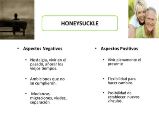 • Aspectos Negativos
• Nostalgia, vivir en el
pasado, añorar los
viejos tiempos.
• Ambiciones que no
se cumplieron.
• Mudanzas,
migraciones, viudez,
separación
• Aspectos Positivos
• Vivir plenamente el
presente
• Flexibilidad para
hacer cambios.
• Posibilidad de
establecer nuevos
vínculos.
HONEYSUCKLE
 