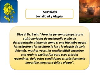 MUSTARD
Jovialidad y Alegría
Dice el Dr. Bach: “Para las personas propensas a
sufrir períodos de melancolía o aún de
desesperación, sintiendo como si una fría nube negra
les eclipsara y les ocultara la luz y la alegría de vivir.
Además, muchas veces les resulta difícil encontrar
una razón o explicación para esos estados
repentinos. Bajo estas condiciones es prácticamente
imposible mostrarse feliz o alegre”.
 