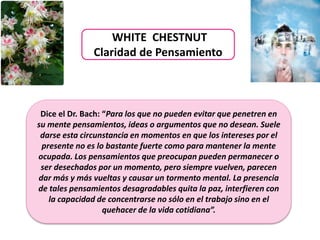 WHITE CHESTNUT
Claridad de Pensamiento
Dice el Dr. Bach: “Para los que no pueden evitar que penetren en
su mente pensamientos, ideas o argumentos que no desean. Suele
darse esta circunstancia en momentos en que los intereses por el
presente no es lo bastante fuerte como para mantener la mente
ocupada. Los pensamientos que preocupan pueden permanecer o
ser desechados por un momento, pero siempre vuelven, parecen
dar más y más vueltas y causar un tormento mental. La presencia
de tales pensamientos desagradables quita la paz, interfieren con
la capacidad de concentrarse no sólo en el trabajo sino en el
quehacer de la vida cotidiana”.
 