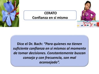 CERATO
Confianza en sí mismo
Dice el Dr. Bach: “Para quienes no tienen
suficiente confianza en sí mismos al momento
de tomar decisiones. Constantemente buscan
consejo y con frecuencia, son mal
aconsejado”.
 