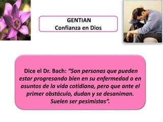 GENTIAN
Confianza en Dios
Dice el Dr. Bach: “Son personas que pueden
estar progresando bien en su enfermedad o en
asuntos de la vida cotidiana, pero que ante el
primer obstáculo, dudan y se desaniman.
Suelen ser pesimistas”.
 