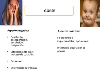 GORSE
Aspectos negativos:
• Desaliento,
desesperación,
desolación,
resignación.
• Estancamiento en el
proceso de curación.
• Depresión
• Enfermedades crónicas
Aspectos positivos:
Fe profunda e
inquebrantable, optimismo.
Integran la alegría con el
pensar.
 