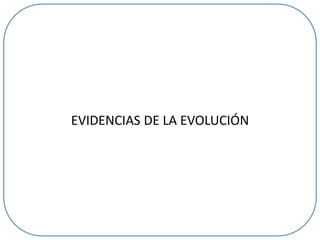 EVIDENCIAS DE LA EVOLUCIÓN

 