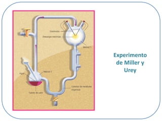 Experimento
de Miller y
Urey

 