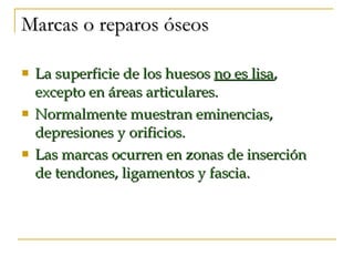 Marcas o reparos óseos La superficie de los huesos  no es lisa , excepto en áreas articulares.  Normalmente muestran eminencias, depresiones y orificios. Las marcas ocurren en zonas de inserción de tendones, ligamentos y fascia. 