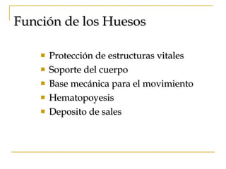 Función de los Huesos Protección de estructuras vitales Soporte del cuerpo Base mecánica para el movimiento Hematopoyesis Deposito de sales 
