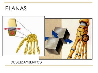 PLANAS DESLIZAMIENTOS 