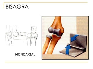 BISAGRA MONOAXIAL 