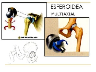 ESFEROIDEA MULTIAXIAL 