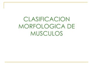 CLASIFICACION MORFOLOGICA DE MUSCULOS 