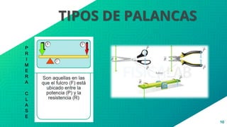 10
TIPOS DE PALANCAS
P
R
I
M
E
R
A
C
L
A
S
E
 