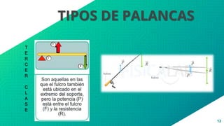 12
TIPOS DE PALANCAS
T
E
R
C
E
R
C
L
A
S
E
 