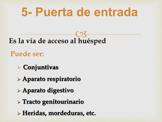 
5- Puerta de entrada
Es la vía de acceso al huésped
Puede ser:
 Conjuntivas
 Aparato respiratorio
 Aparato digestivo
 Tracto genitourinario
 Heridas, mordeduras, etc.
 