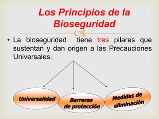 
Los Principios de la
Bioseguridad
• La bioseguridad tiene tres pilares que
sustentan y dan origen a las Precauciones
Universales.
Universalidad Barreras
de protección
 