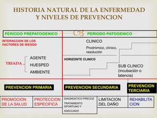 
HISTORIA NATURAL DE LA ENFERMEDAD
Y NIVELES DE PREVENCION
PROMOCION
DE LA SALUD
PROTECCION
ESPECIFICA
DIAGNOSTICO PRECOZ
TRATAMIENTO
OPORTUNO Y
ADECUADO
LIMITACION
DEL DAÑO
REHABILITA
CION
PREVENCION PRIMARIA PREVENCION SECUNDARIA PREVENCION
TERCIARIA
PERIODO PREPATOGENICO PERIODO PATOGENICO
INTERACCION DE LOS
FACTORES DE RIESGO
AGENTE
HUESPED
AMBIENTE
HORIZONTE CLINICO
SUB CLINICO
(incubación o
latencia)
CLINICO
Prodrómico, clínico,
resolución
TRIADA
 