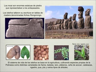 Los moai son enormes estatuas de piedra
  que representaban a los antepasados.

Los isleños tallaron su escritura en tablas de
 madera denominadas Kohau Rongorongo.




                                                                           Ñame, taro, ngaoho, pua




    El sistema de vida de los isleños se basa en la agricultura, cultivando especies propias de la
  Polinesia como distintas variedades de ñame, batatas, taro, plátanos, caña de azúcar, calabazas,
                             ngaoho, pua, pía y varios tipos de árboles.
 