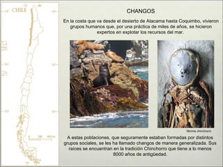 CHANGOS
En la costa que va desde el desierto de Atacama hasta Coquimbo, vivieron
   grupos humanos que, por una práctica de miles de años, se hicieron
                expertos en explotar los recursos del mar.




                                                         Momia chinchorro

  A estas poblaciones, que seguramente estaban formadas por distintos
grupos sociales, se les ha llamado changos de manera generalizada. Sus
  raíces se encuentran en la tradición Chinchorro que tiene a lo menos
                        8000 años de antigüedad.
 