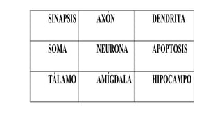SINAPSIS AXÓN DENDRITA
SOMA NEURONA APOPTOSIS
TÁLAMO AMÍGDALA HIPOCAMPO
 