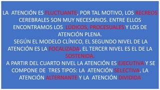 LA ATENCIÓN ES FLUCTUANTE, POR TAL MOTIVO, LOS RECREOS
CEREBRALES SON MUY NECESARIOS. ENTRE ELLOS
ENCONTRAMOS LOS LÚDICOS, PROCESUALES Y LOS DE
ATENCIÓN PLENA.
SEGÚN EL MODELO CLÍNICO, EL SEGUNDO NIVEL DE LA
ATENCIÓN ES LA FOCALIZADA, EL TERCER NIVEL ES EL DE LA
SOSTENIDA.
A PARTIR DEL CUARTO NIVEL LA ATENCIÓN ES EJECUTIVA Y SE
COMPONE DE TRES TIPOS: LA ATENCIÓN SELECTIVA, LA
ATENCIÓN ALTERNANTE Y LA ATENCIÓN DIVIDIDA
 