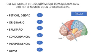 UNE LAS INICIALES DE LOS SINÓNIMOS DE ESTAS PALABRAS PARA
OBTENER EL NOMBRE DE UN LÓBULO CEREBRAL
• FETICHE, DEIDAD
• ORIGINARIO
• ERMITAÑO
• CONCORDANCIA
• INDEPENDENCIA
• OLIVO
L
Í
A
N
ÍNSULA
S
U
 