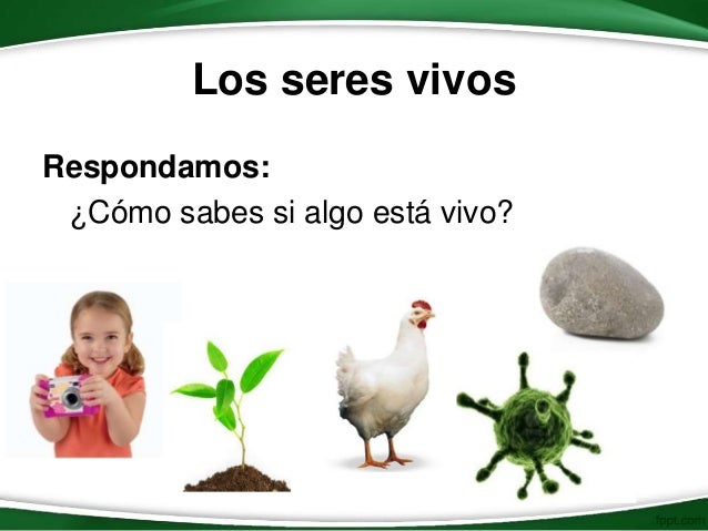 Seres vivos