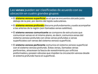 Las venas pueden ser clasificadas de acuerdo con su
ubicación en cuatro grandes grupos:
• El sistema venoso superficial es el que se encuentra ubicado justo
debajo de la piel, por dentro del tejido subcutáneo.
• El sistema venoso profundo discurre profundamente y suele acompañar
a las arterias de la región (son llamadas venas satélites).
• El sistema venoso comunicante se compone de estructuras que
comunican venas en el mismo plano, es decir, comunica venas del
sistema venoso profundo con otras venas profundas o venas
superficiales con venas del sistema venoso superficial.
• El sistema venoso perforante comunica el sistema venoso superficial
con el sistema venoso profundo. Estas venas, llamadas venas
perforantes, atraviesan la fascia de revestimiento por orificios
preformados y poseen válvulas que impiden la circulación venosa desde
el sistema profundo hacia el superficial.
 