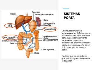 SISTEMAS
PORTA
La circulación porta o
sistema porta, definido como
un sistema vascular, formado
por un vaso (generalmente
venoso) en cuyos dos
extremos se encuentran redes
capilares. La vena porta es un
típico ejemplo de sistema
porta.
Es decir que es un sistema
que se inicia y termina en una
red capilar.
 