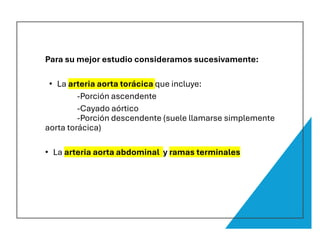 Para su mejor estudio consideramos sucesivamente:
• La arteria aorta torácica que incluye:
-Porción ascendente
-Cayado aórtico
-Porción descendente (suele llamarse simplemente
aorta torácica)
• La arteria aorta abdominal y ramas terminales
 